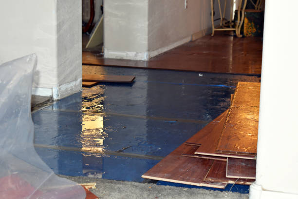 Professional Basement Flood Cleanup technician working in Chesapeake Beach, MD